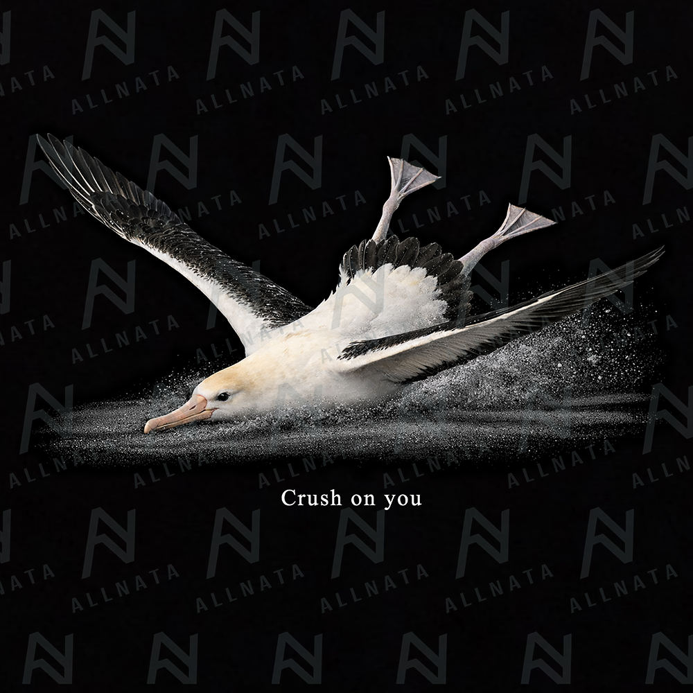 着地失敗アホウドリ ビックシルエットTシャツ（オリジナルカード付）