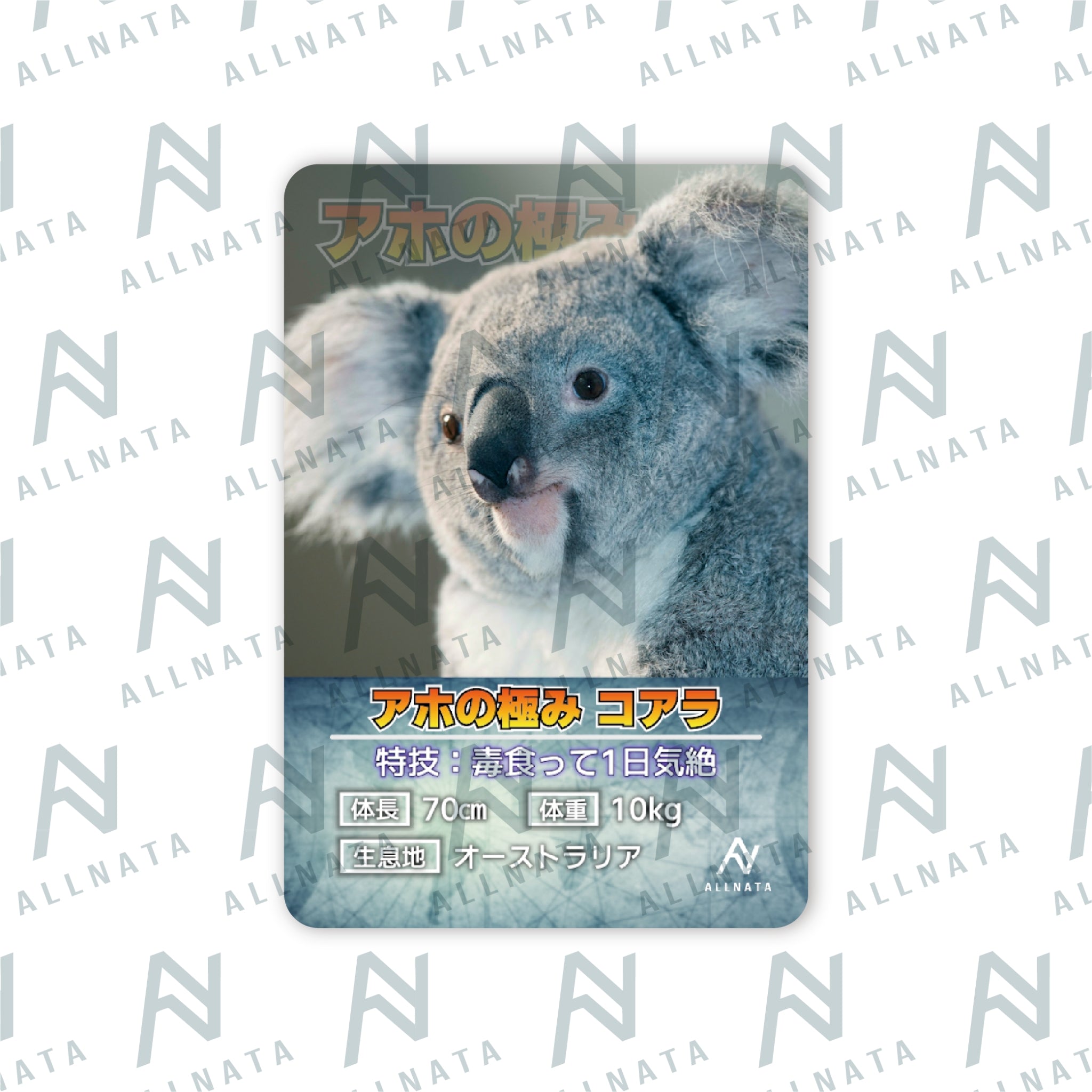 アホの極み コアラ パーカー（オリジナルカード付）