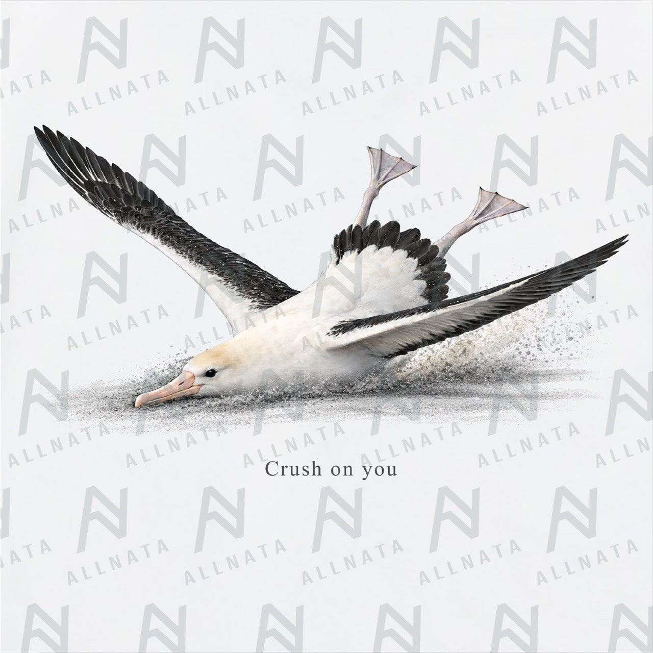 アホウドリビックシルエットTシャツ（オリジナルカード付）